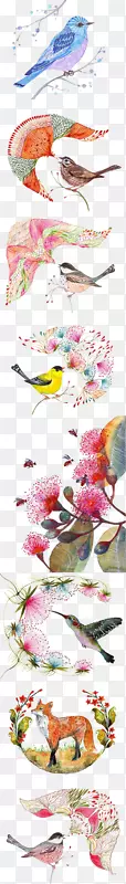 鸟猫头鹰水彩画插图.鸟图案