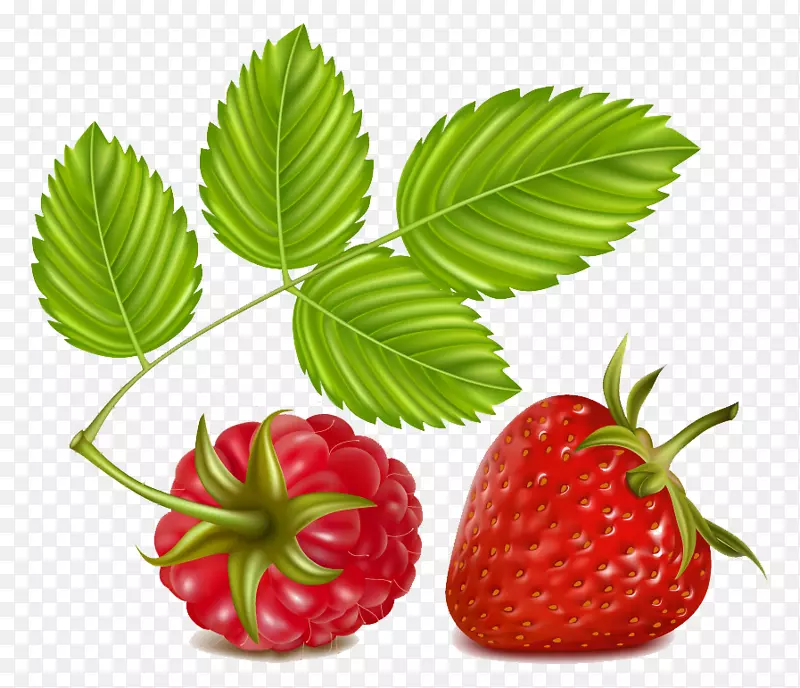 草莓覆盆子剪贴画-卡通草莓PNG图片材料