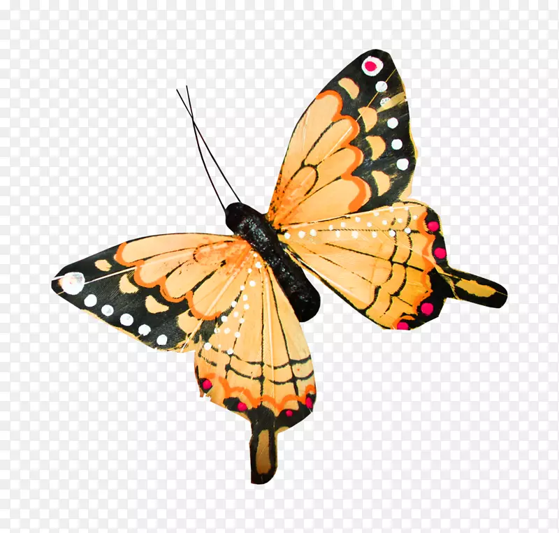 图标-蝴蝶翅膀