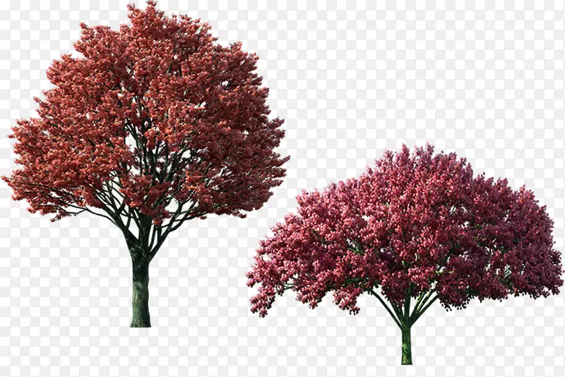 树木图标-秋季树木材料