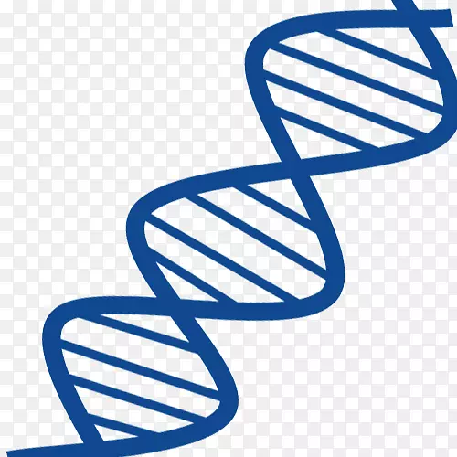 DNA核酸双螺旋基因RNA核酸结构-蓝基因链