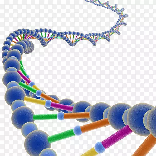 双螺旋：发现dna核酸双螺旋腺嘌呤鸟嘌呤基因结构的个人记述