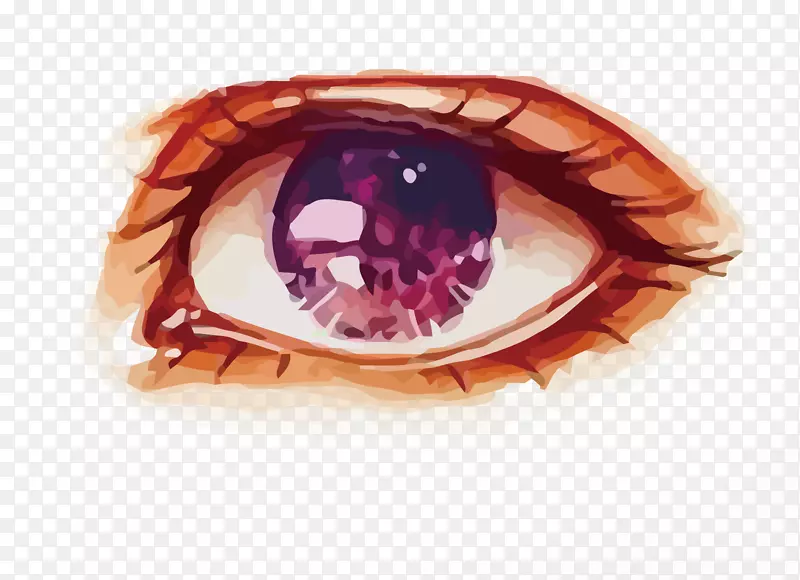 水彩画紫眼