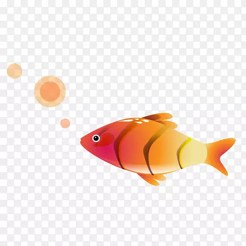 插图-鼓泡红鱼图片