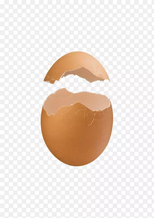 鸡蛋壳-蛋壳