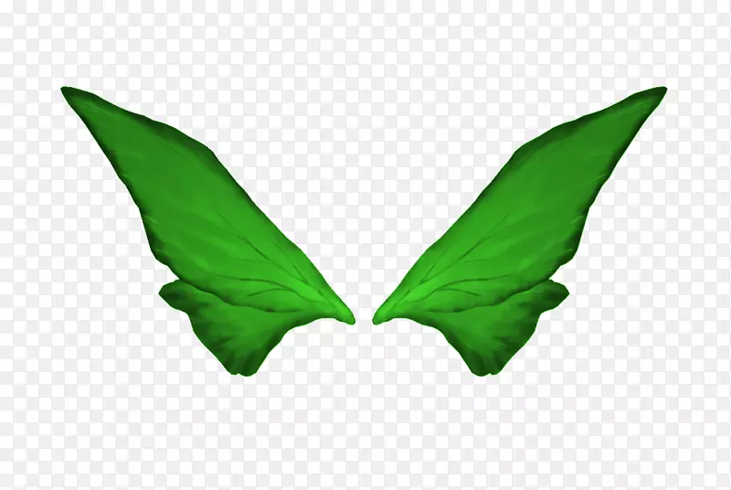 元素，香港谷歌图片-翅膀拉材料
