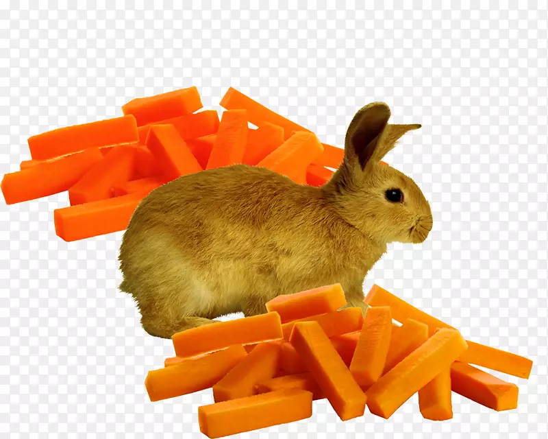国内兔肉胡萝卜橙欧洲兔萝卜条