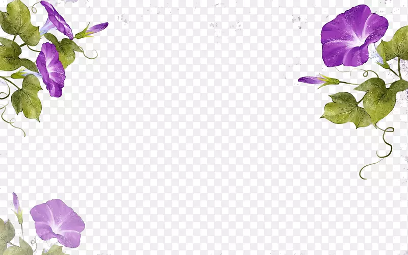 水彩画插图.紫色藤本植物