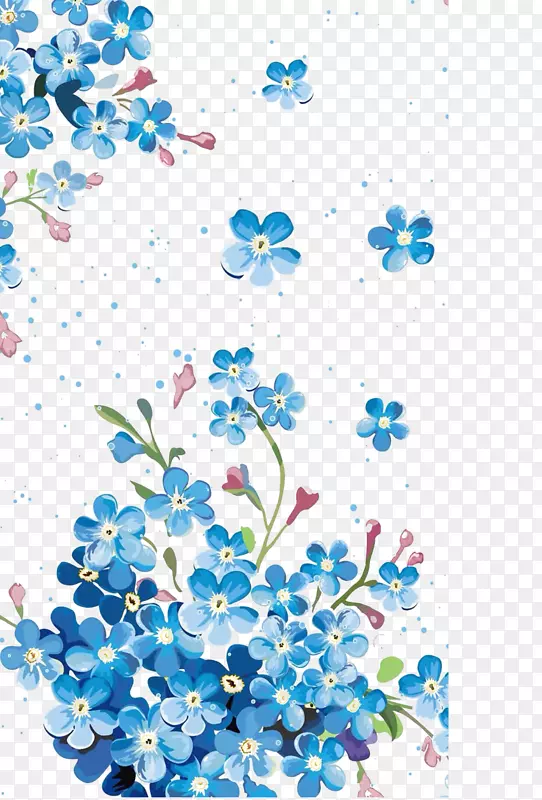 花卉摄影插图-蓝色花朵