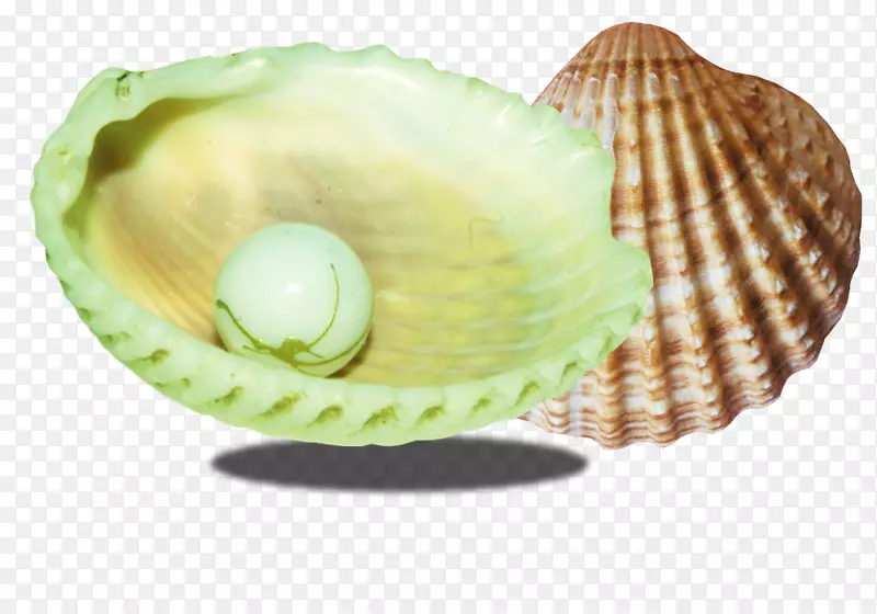 设计家用海螺贝壳夹艺术糖果白色珍珠壳