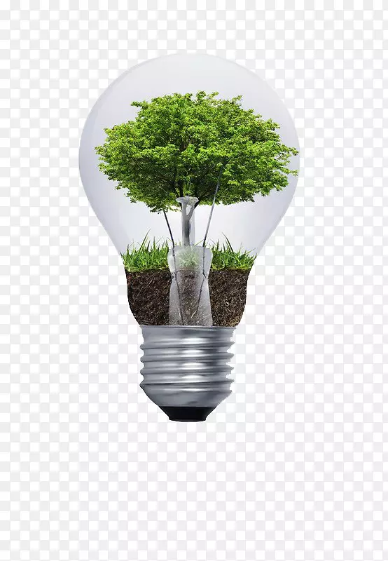 自然环境恶化环境咨询可持续发展白炽灯泡一个灯泡