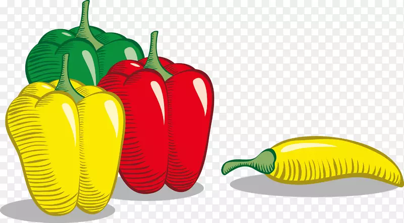 花椒、辣椒、蔬菜-蔬菜保健装饰图案