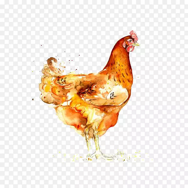 烤鸡水彩：动物水彩画手绘大公鸡