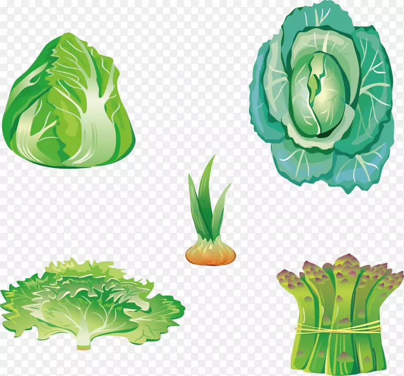叶菜食品-五种蔬菜