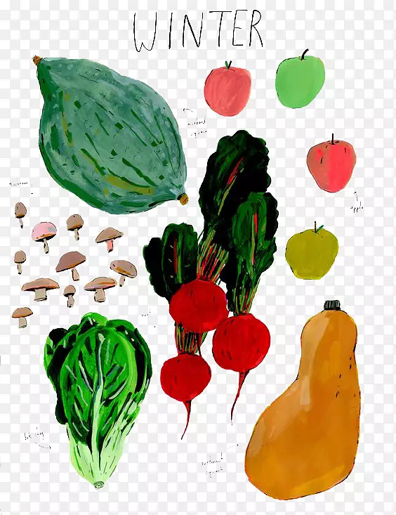 免费提供的蔬菜插图-蔬菜