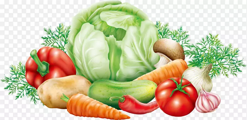 白菜蔬菜马铃薯剪贴画蔬菜