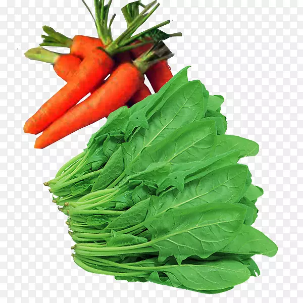 胡萝卜良粉类蔬菜胡萝卜素类蔬菜