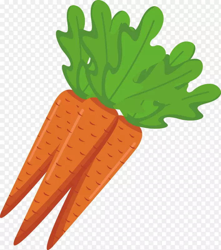 胡萝卜素食菜素食汉堡食品卡通胡萝卜