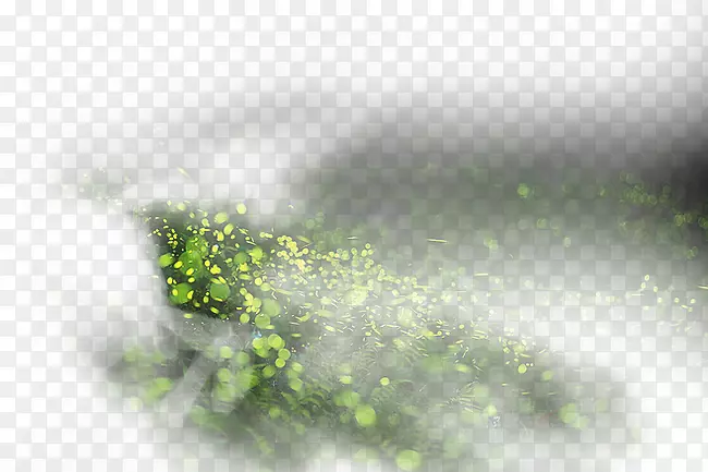 绿水天电脑壁纸-草