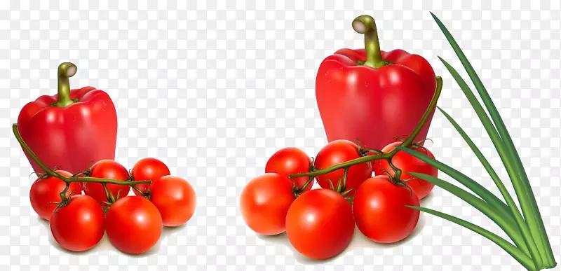 贝尔胡椒蔬菜番茄洋葱-蔬菜