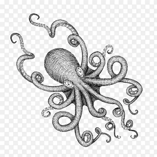 章鱼画海怪插图-黑白章鱼怪兽卡通插图