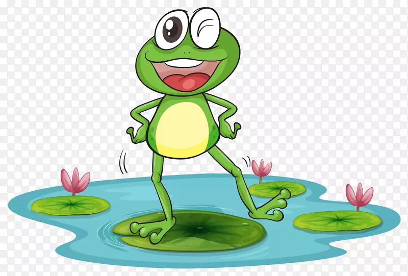 可食用青蛙两栖动物沼泽地青蛙插图-一只站在荷叶上的青蛙