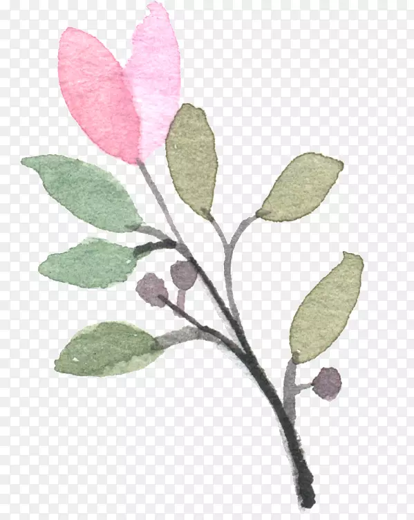 现代水彩：水彩画的现代探索粉红色手绘植物