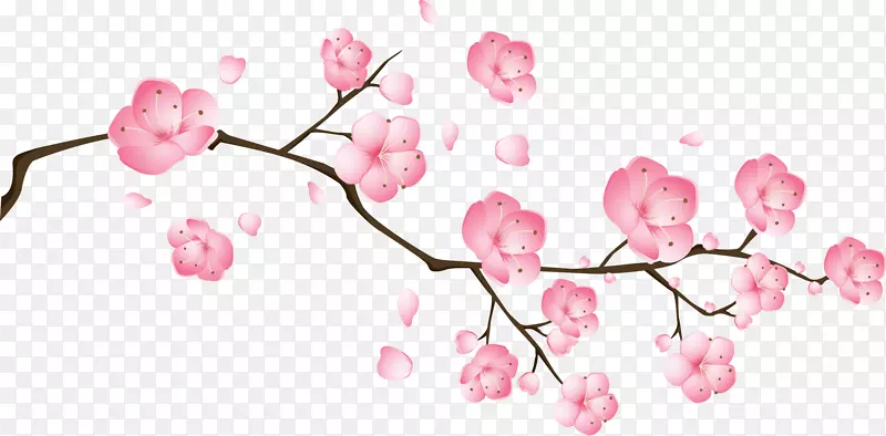 粉红画-粉红色桃花PNG图片素材下载_图片编号254349-PNG素材网