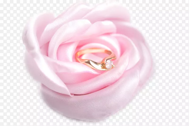 海滩玫瑰花园玫瑰结婚请柬结婚戒指玫瑰钻石戒指