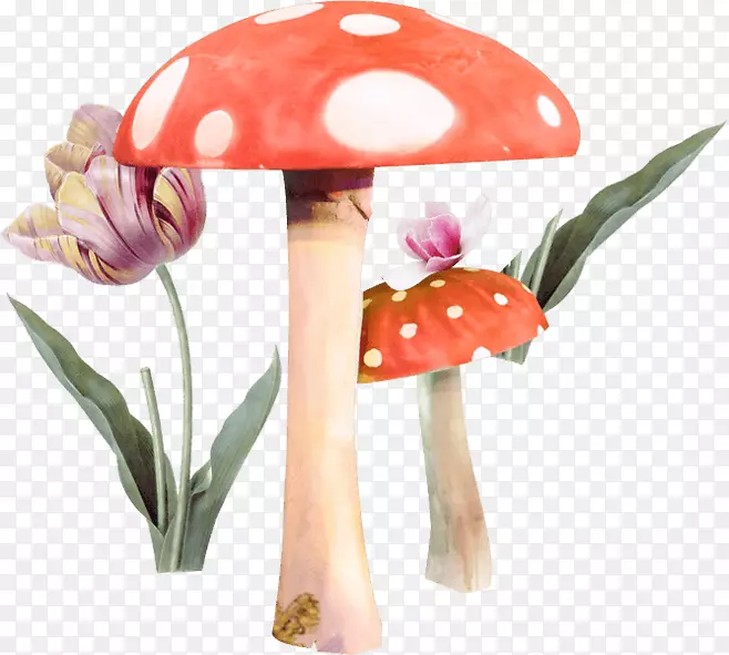 蘑菇木耳剪贴画-蘑菇花不拉料