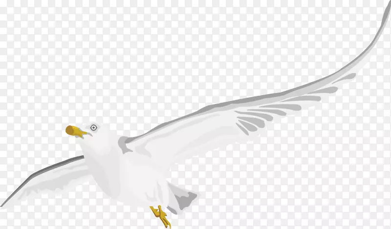 白色-和平鸽装饰精美