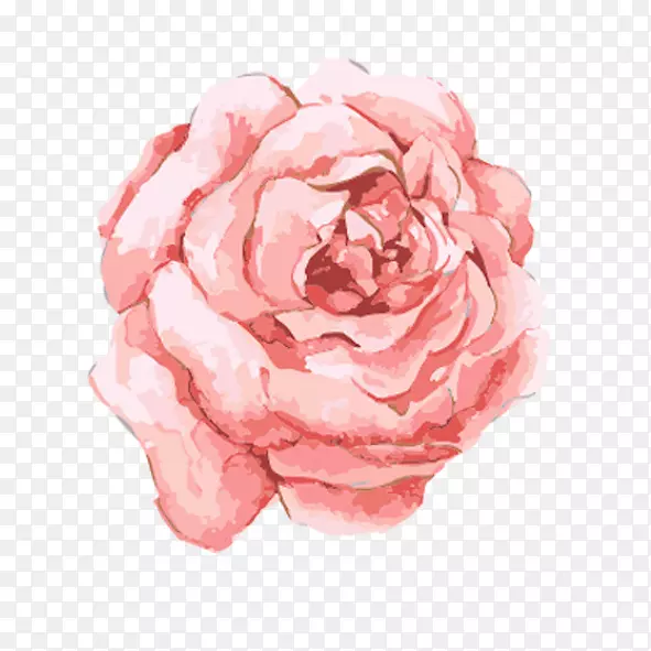 水彩画：水彩画粉红色的花朵-玫瑰