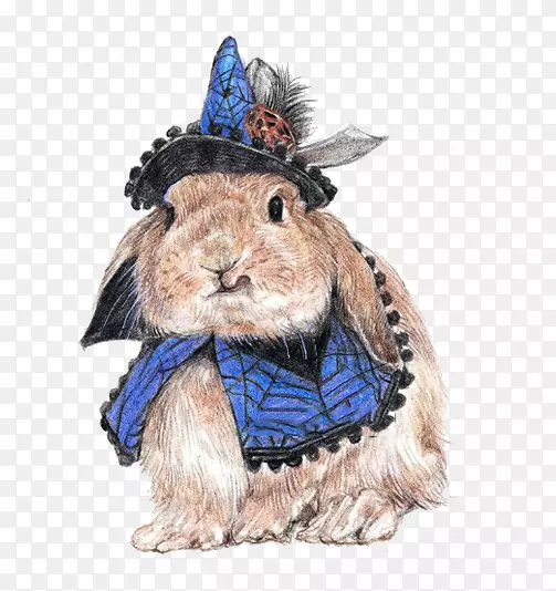 兔彩色铅笔动物插图-兔子