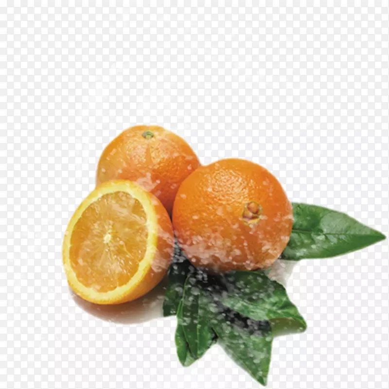 克莱门汀橘子，柚子，朗浦尔橙子