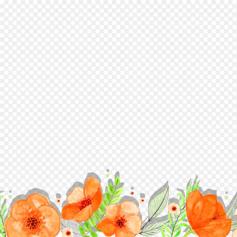 橙色绿色-橙色花卉材料