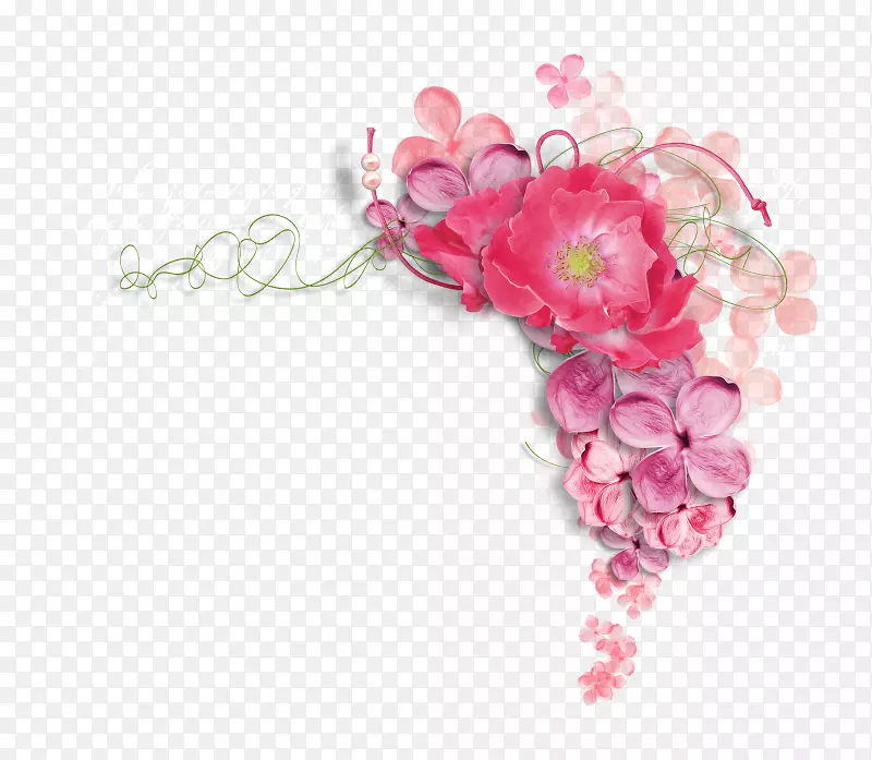 花卉画框剪贴画-粉红牡丹