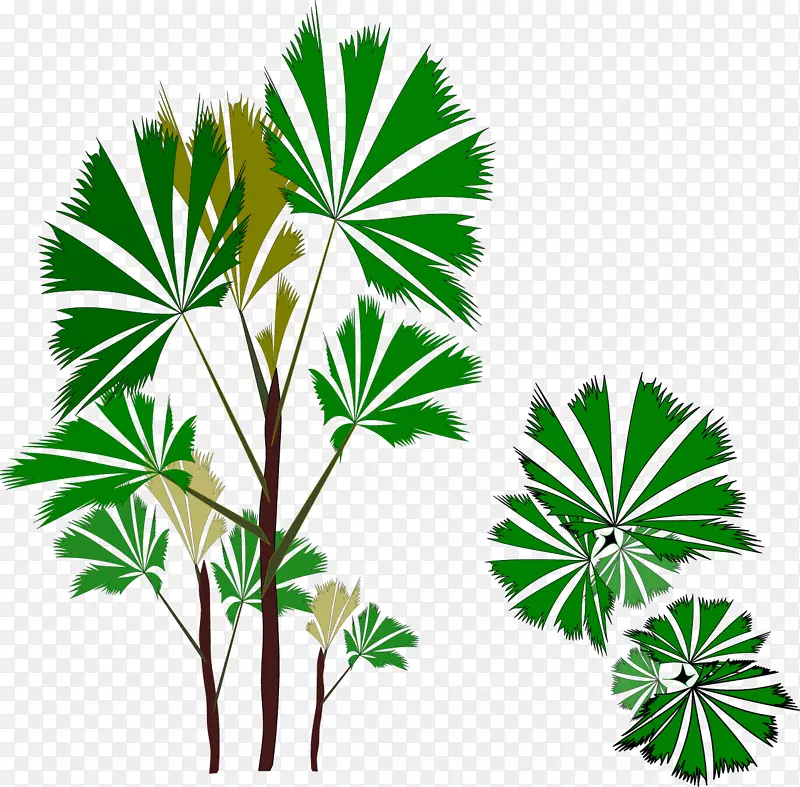 槟榔科剪贴画-植物