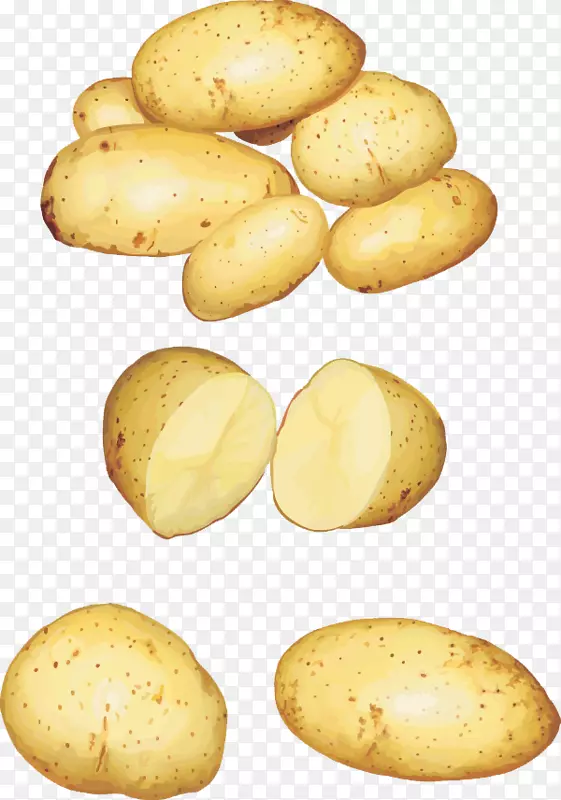 土豆楔形烤土豆汉堡炸薯条芝士汉堡-土豆