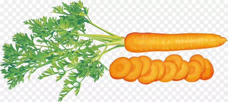 果汁蔬菜胡萝卜番茄胡萝卜片PNG载体材料