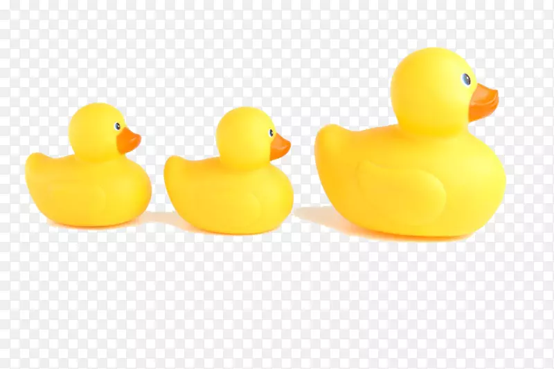 鸭子玩具动物-三只黄色小鸭子