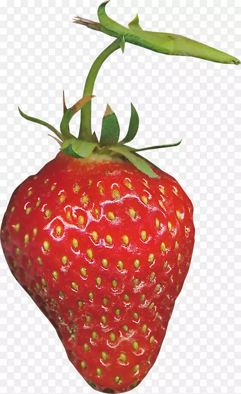 草莓红艾德马西卡-红草莓