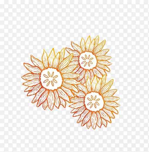 花卉设计橙色普通向日葵-橙色向日葵