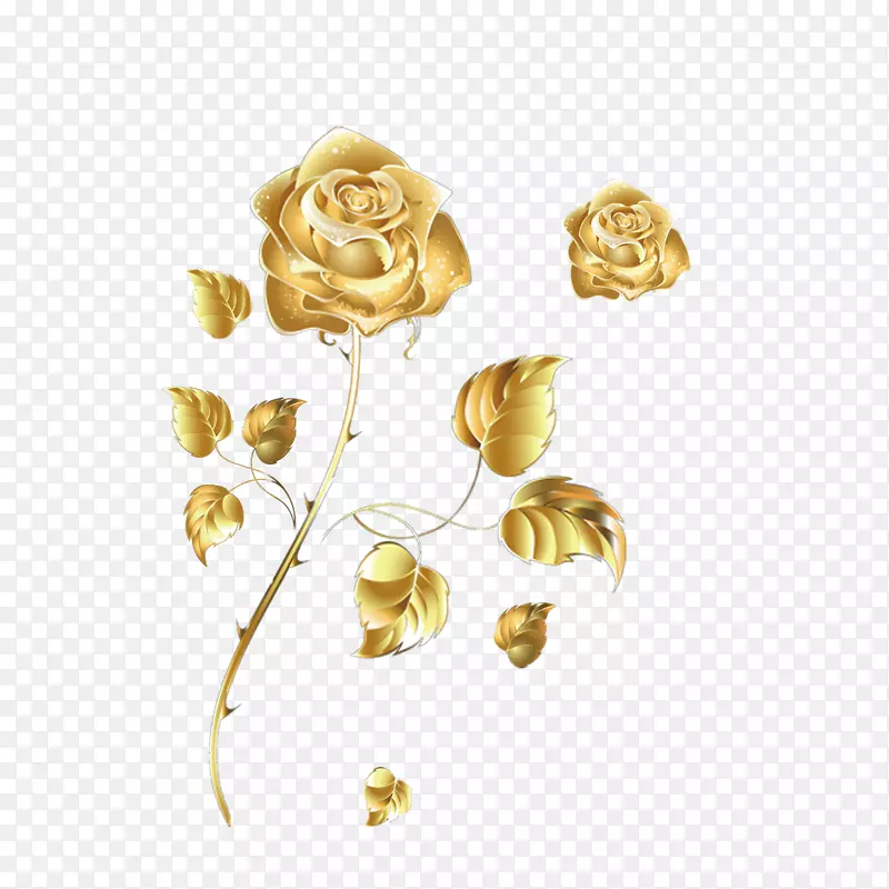 沙滩玫瑰金色玫瑰颜色-金色玫瑰