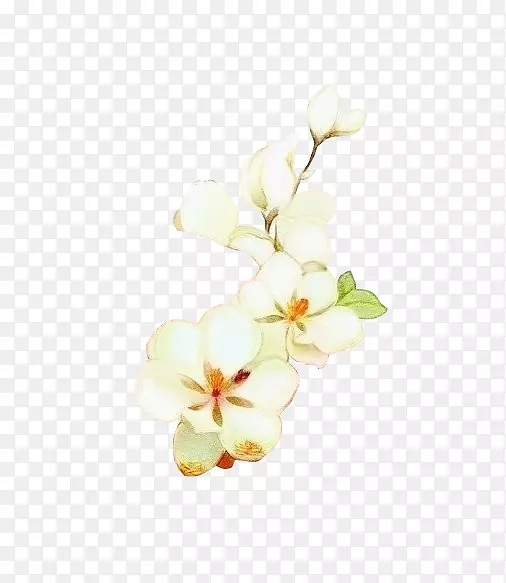 花卉设计花瓣-艺术古董白色