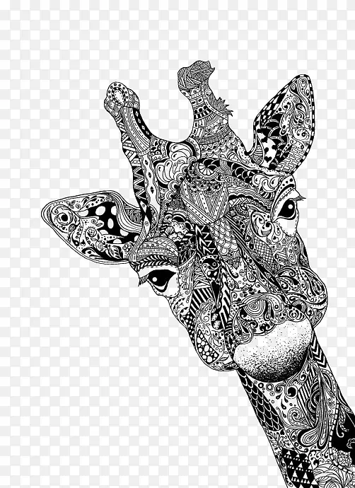 鹿长颈鹿画动物素描黑白线艺术鹿