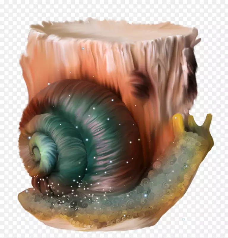 埃斯卡戈蜗牛正交换器-手绘卡通蜗牛橱窗