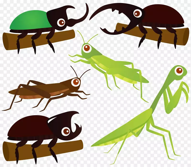 甲虫、蚱蜢、螳螂、剪贴画.卡通昆虫材料