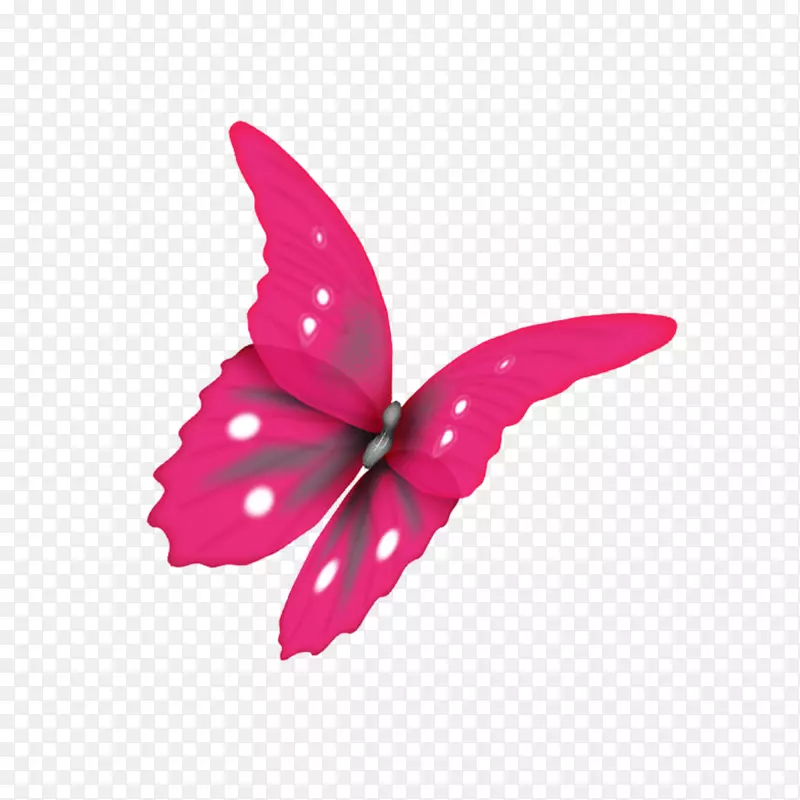 蝴蝶蛾光景-粉红蝴蝶