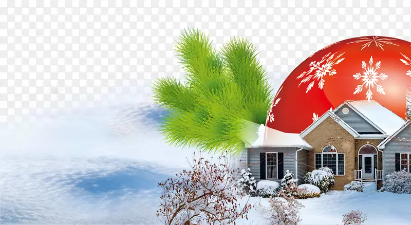 圣诞树，雪松树枝小屋