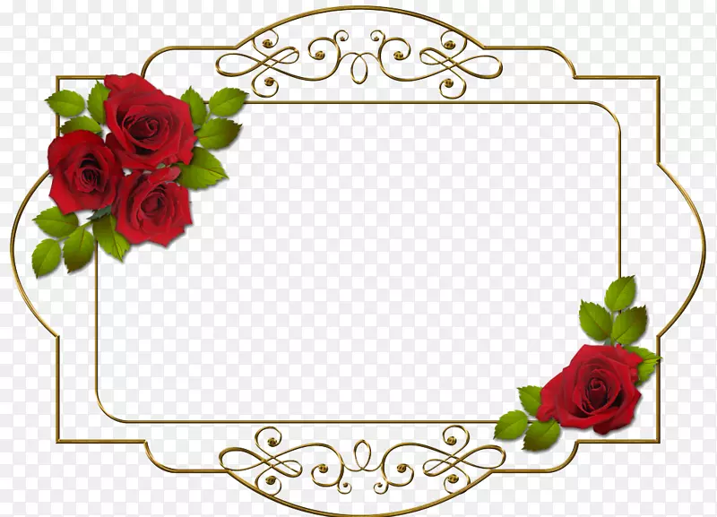相框数码相框插花艺术.红色玫瑰金属框架